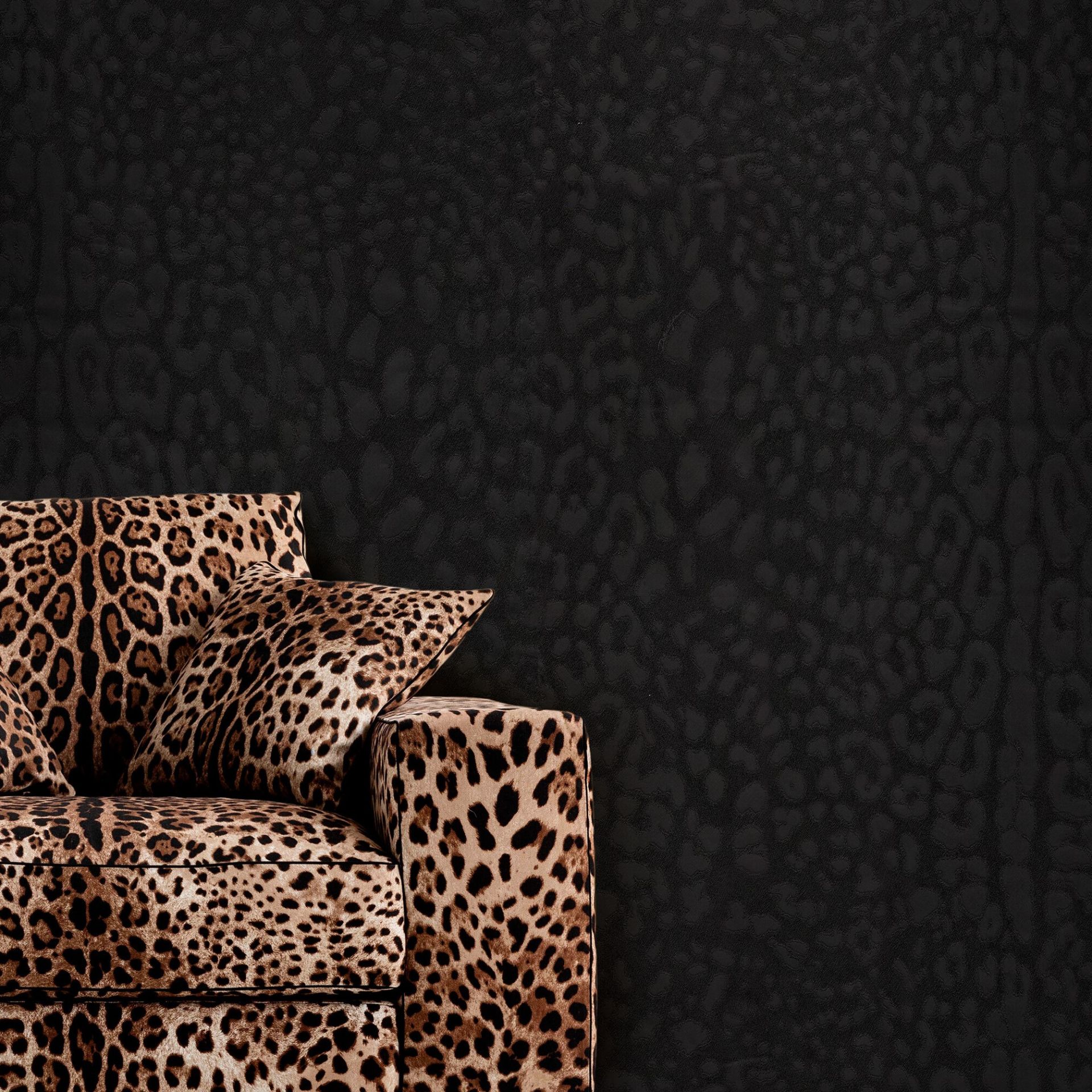 Dolce Gabbana Siyah Leopar Desen Duvar Kağıdı