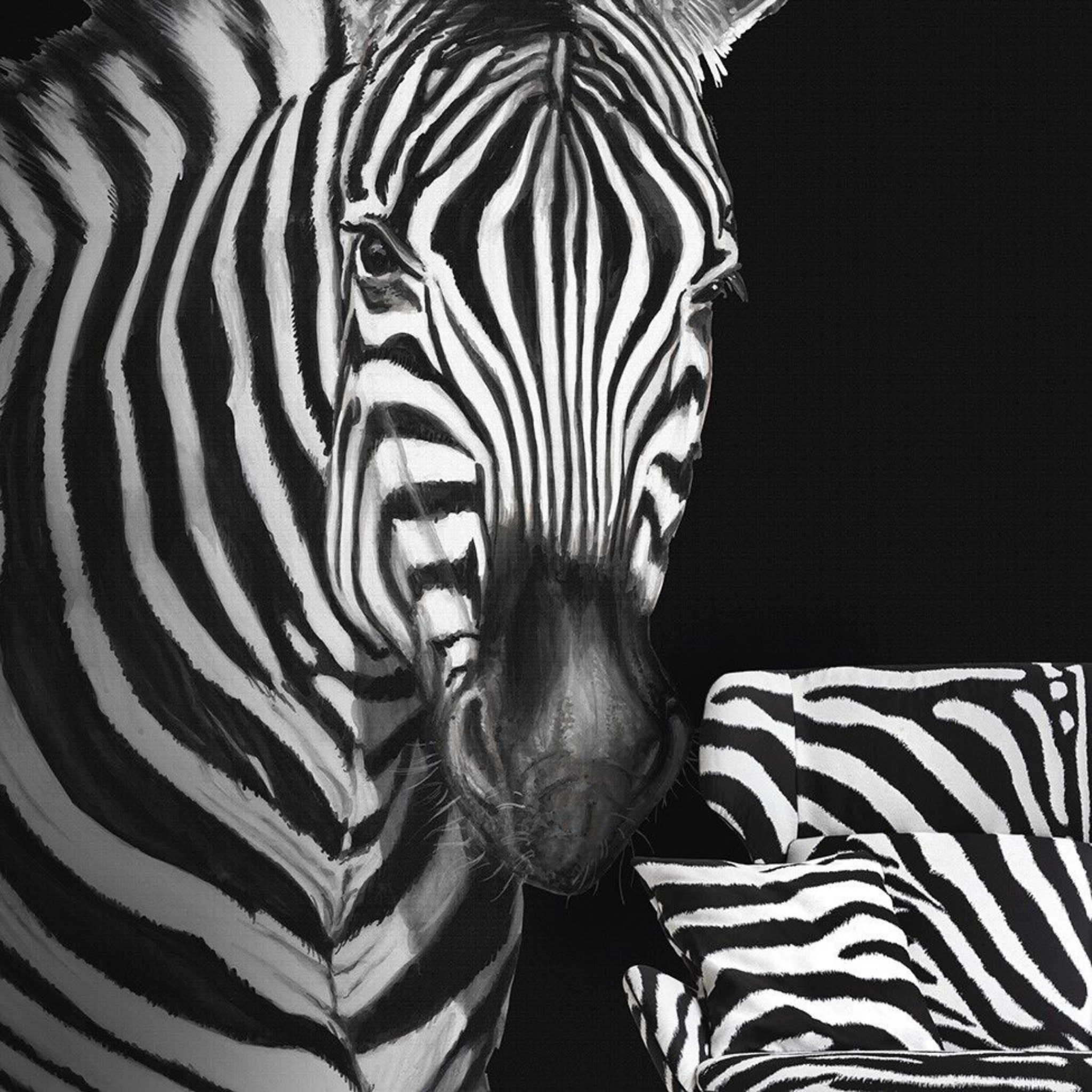 Dolce Gabbana Zebra Pano Duvar Kağıdı