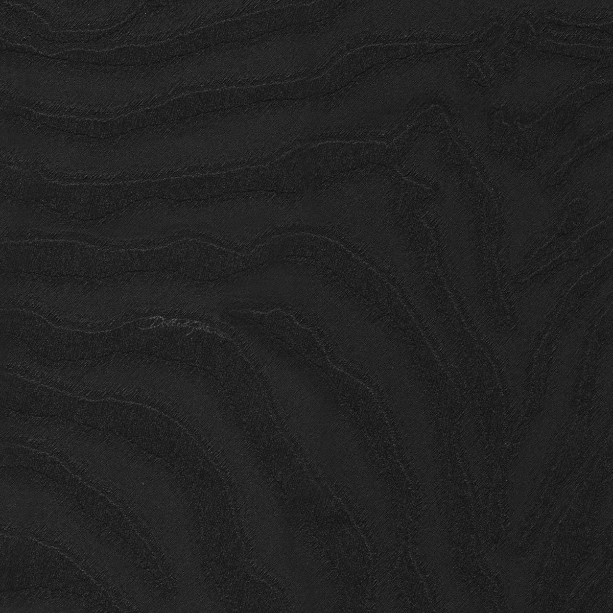 Dolce Gabbana Zebra Siyah Desen Duvar Kağıdı