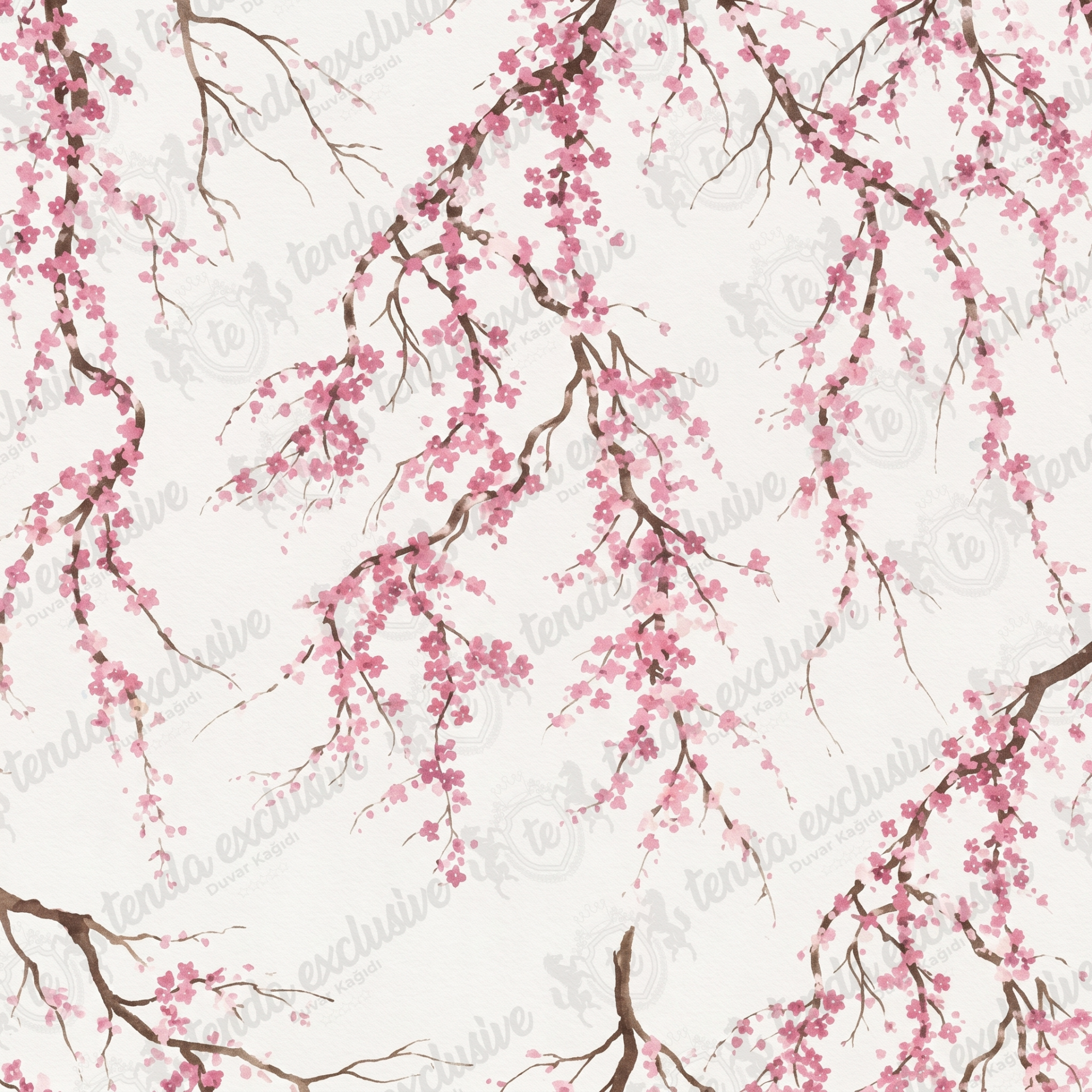 Pembe Sakura Çiçekleri Duvar Kağıdı