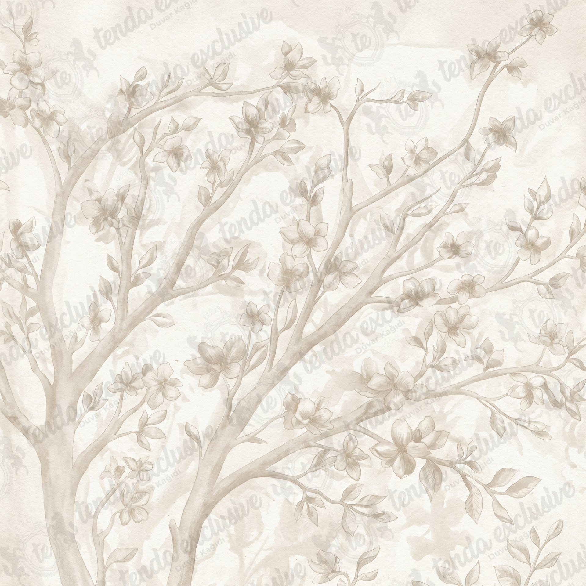 Soft Magnolia Ağacı Duvar Kağıdı
