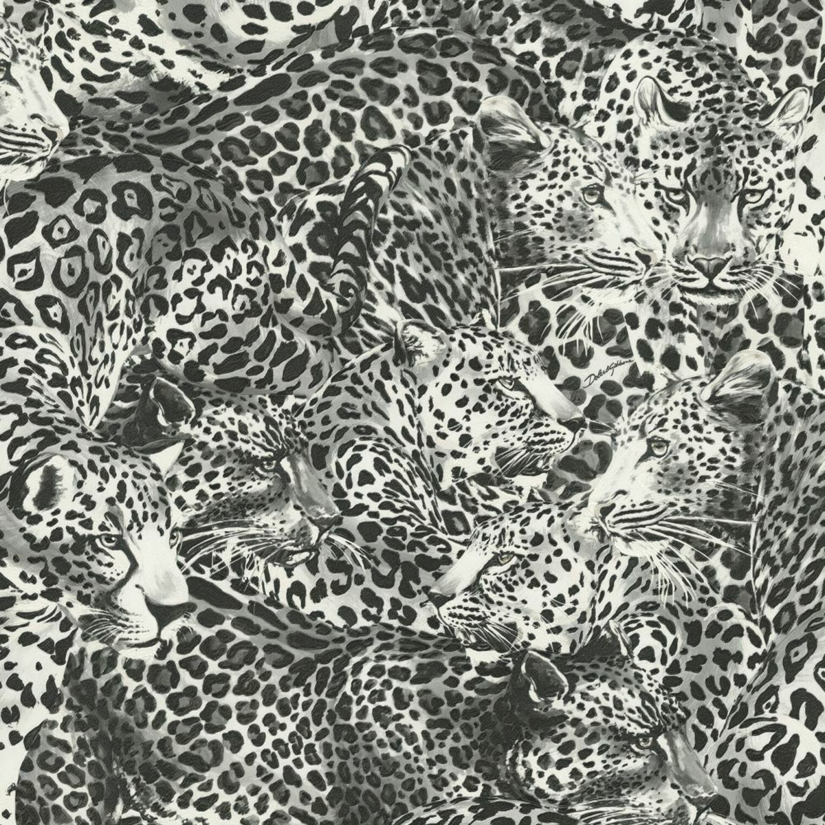 Dolce Gabbana Siyah Beyaz Leopar Desen Duvar Kağıdı