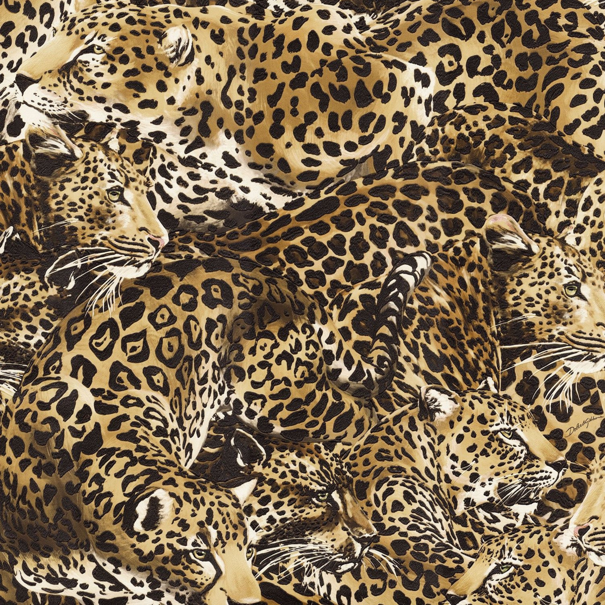 Dolce Gabbana İç İçe Geçmiş Leoparlar Duvar Kağıdı