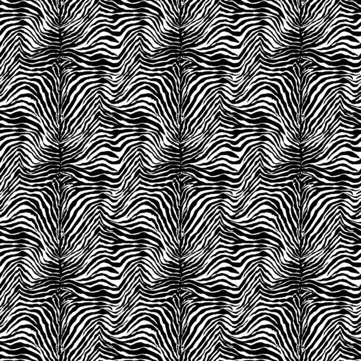 Dolce Gabbana Zebra Siyah Beyaz Duvar Kağıdı