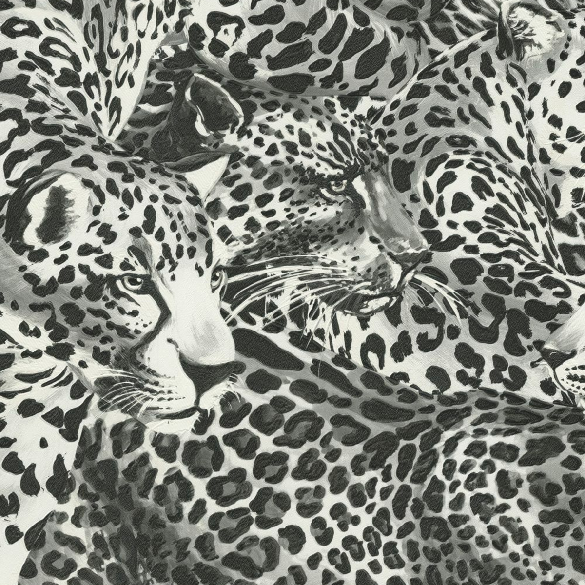 Dolce Gabbana Siyah Beyaz Leopar Desen Duvar Kağıdı