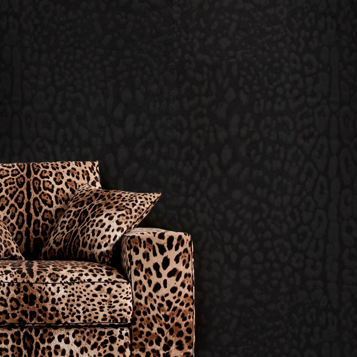 Dolce Gabbana Siyah Leopar Desen Duvar Kağıdı