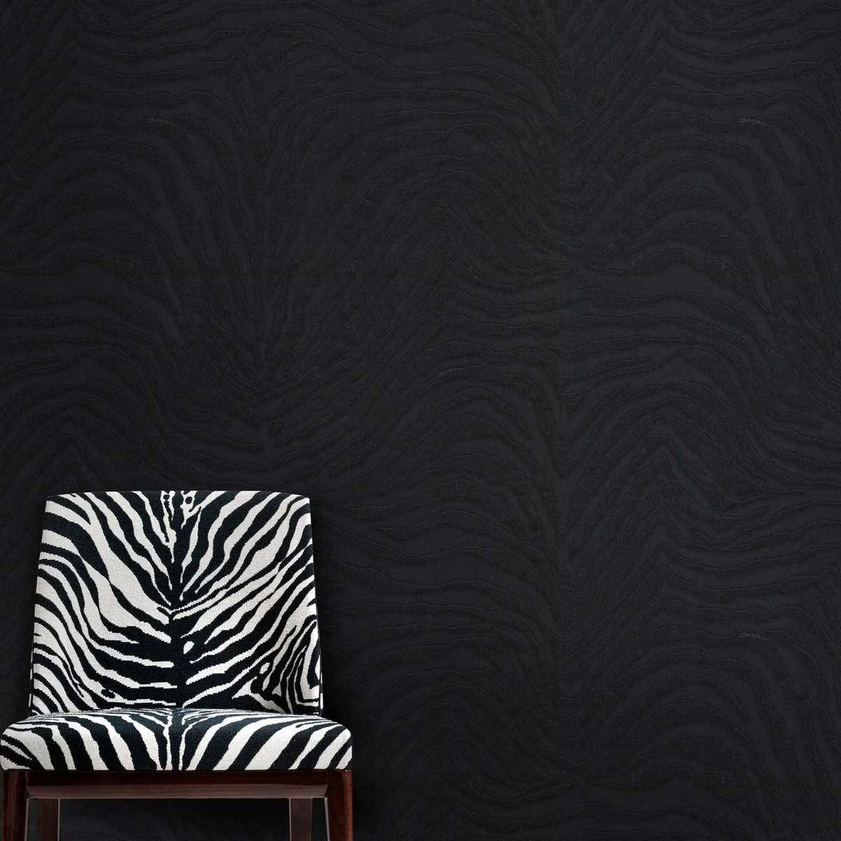 Dolce Gabbana Zebra Siyah Desen Duvar Kağıdı