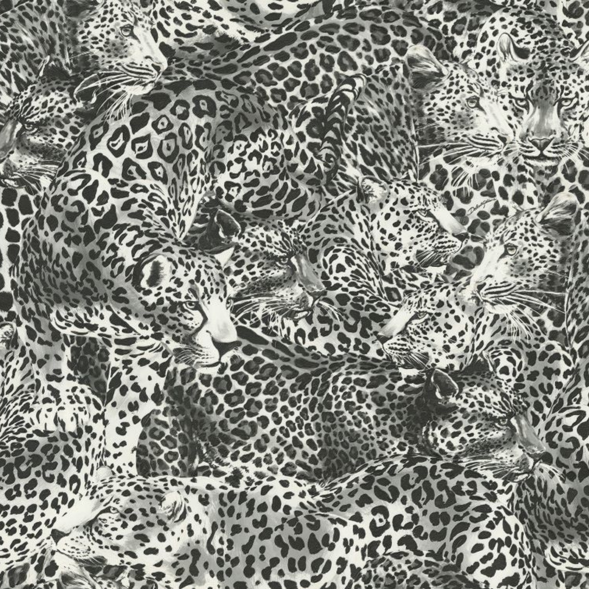 Dolce Gabbana Siyah Beyaz Leopar Desen Duvar Kağıdı