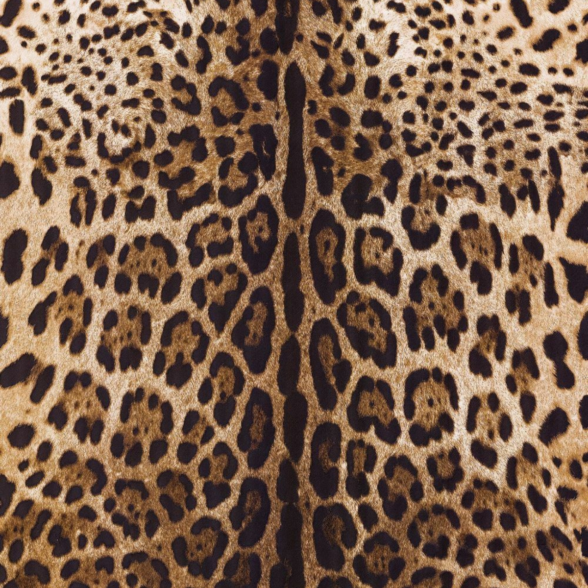 Dolce Gabbana Leopar Desen Duvar Kağıdı