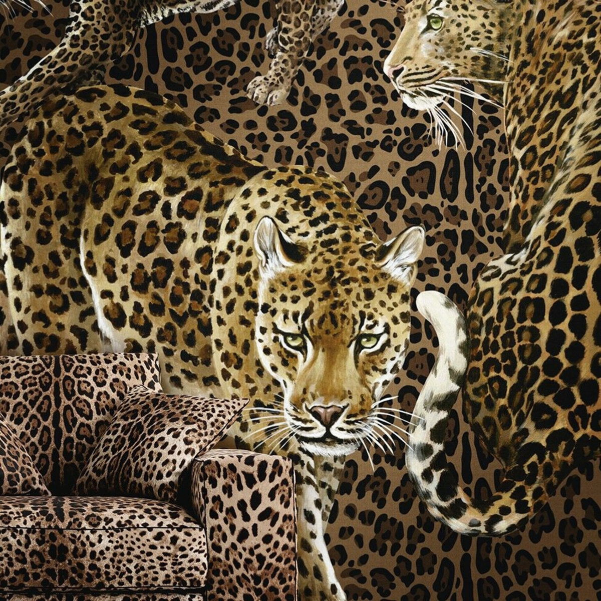Dolce Gabbana Çerçeve Detaylı Leoparlar Pano Duvar Kağıdı