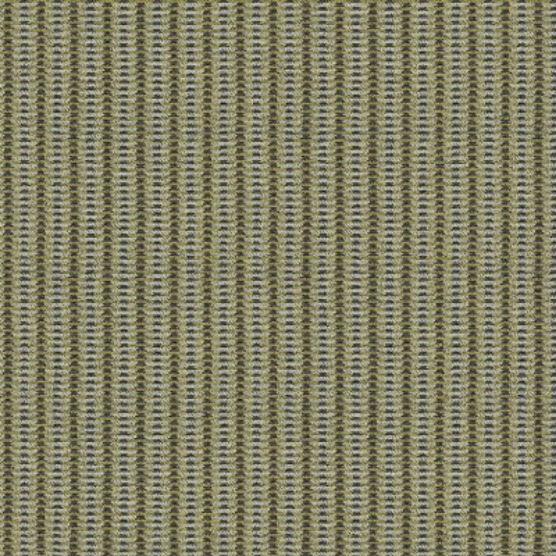 Missoni 5 Koleksiyonu Mozart Duvar Kağıdı