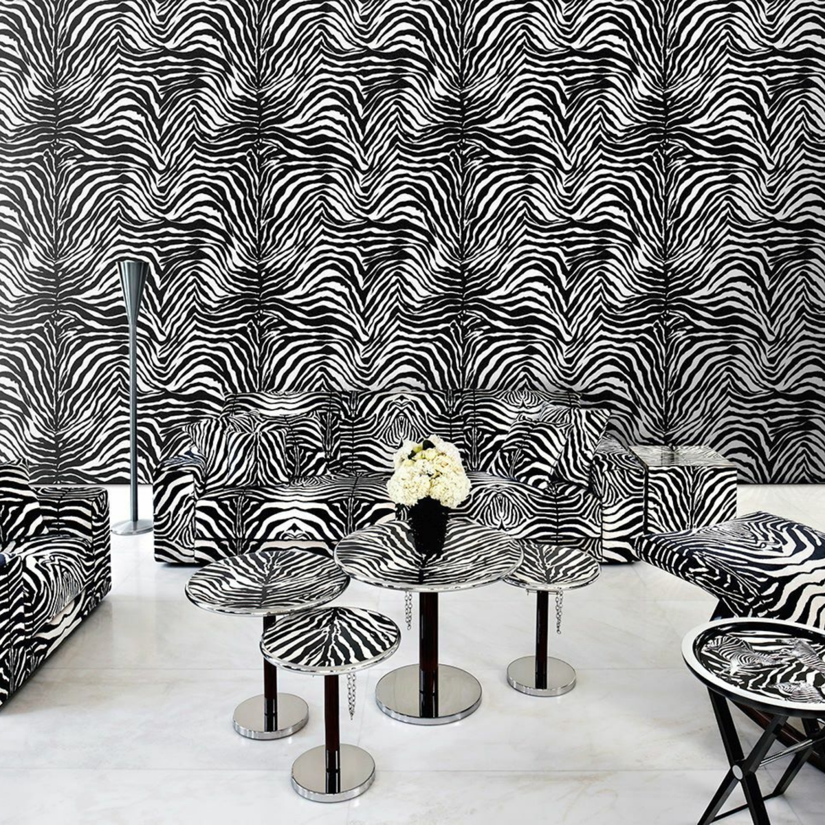 Dolce Gabbana Zebra Siyah Beyaz Duvar Kağıdı
