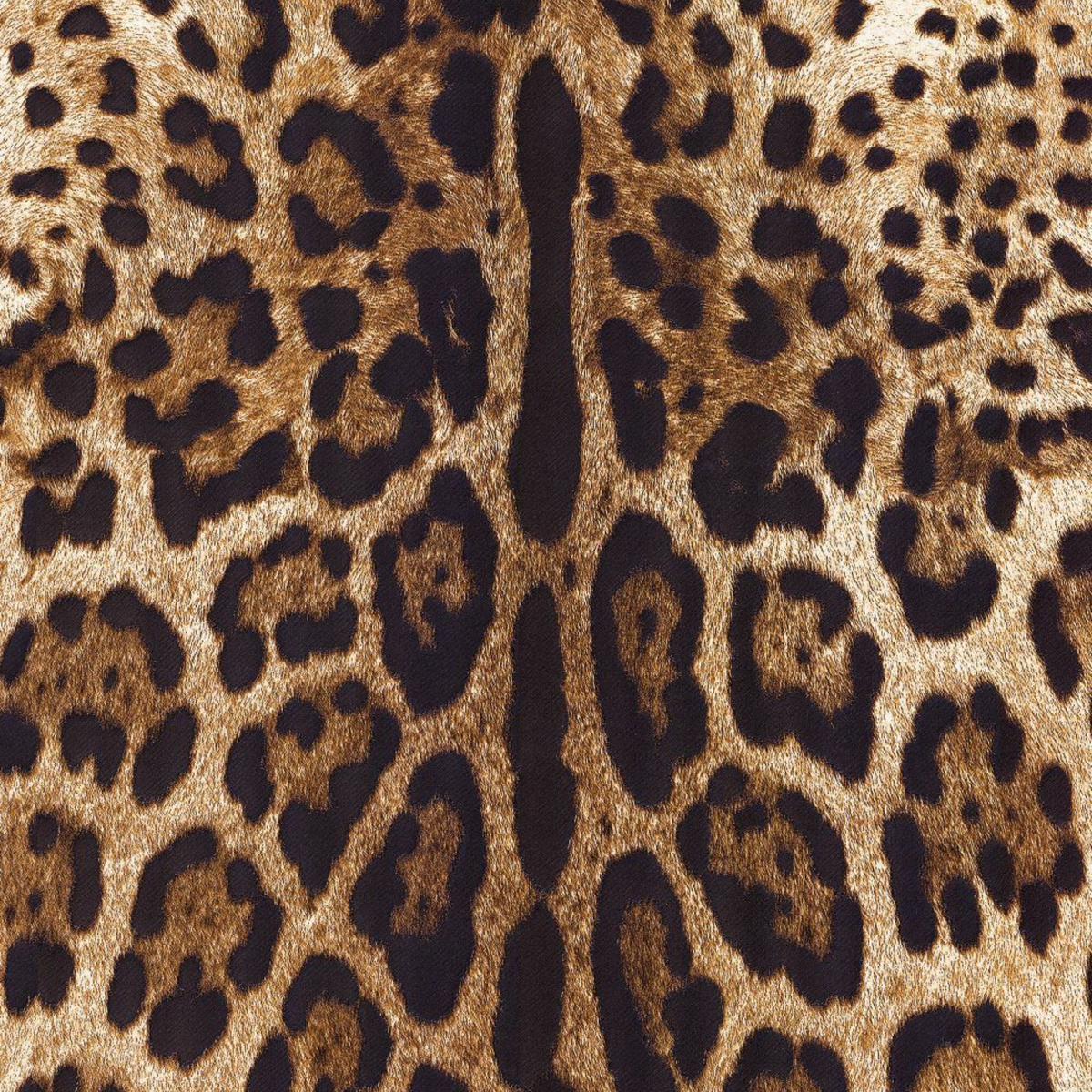 Dolce Gabbana Leopar Desen Duvar Kağıdı