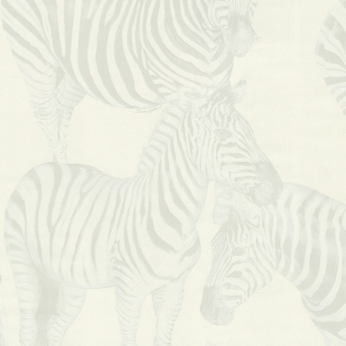 Dolce Gabbana Beyaz Zebra Koleksiyon Duvar Kağıdı