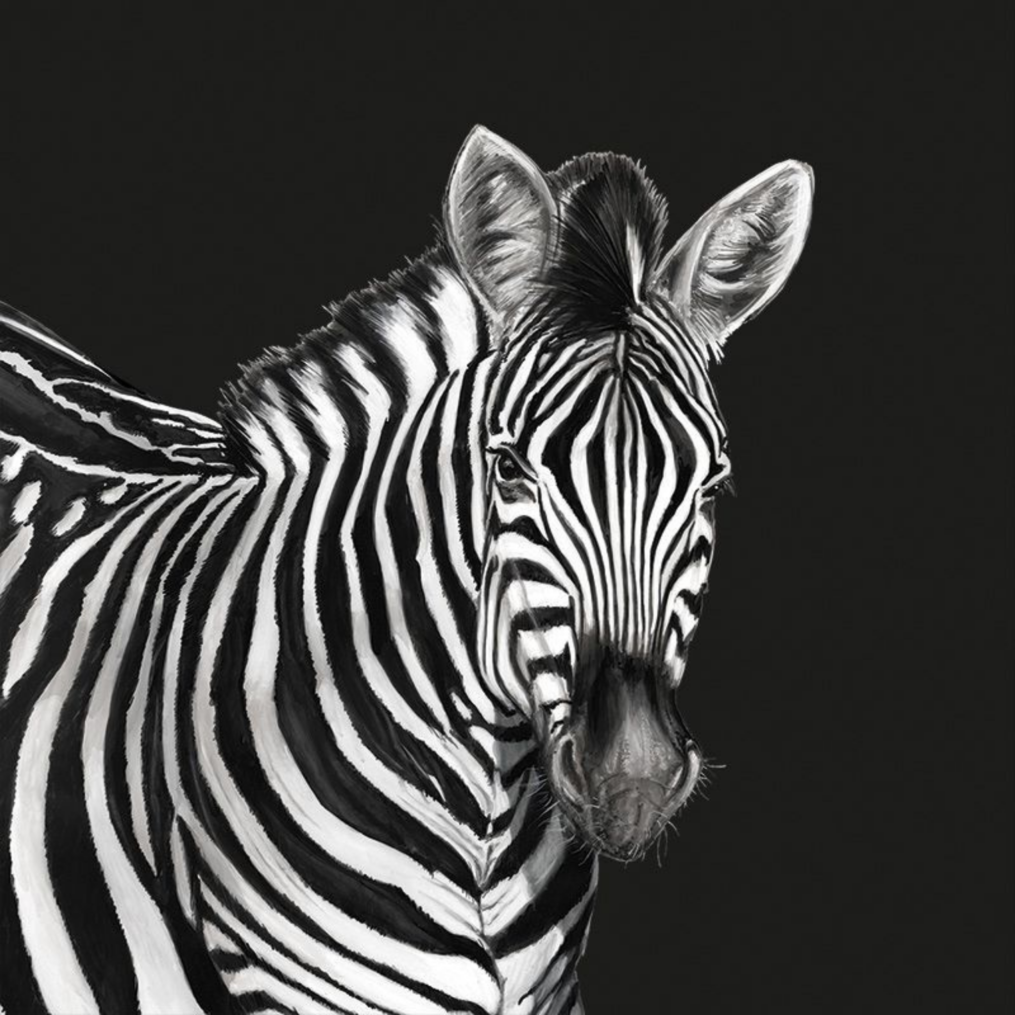 Dolce Gabbana Zebra Pano Duvar Kağıdı