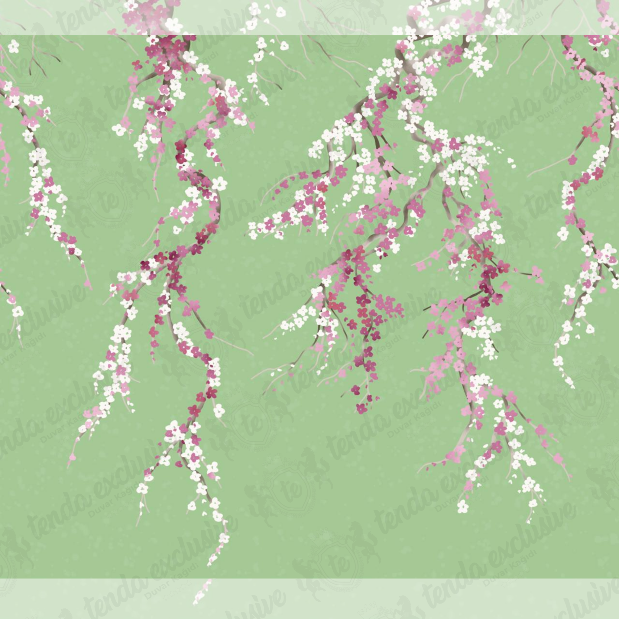 Yeşil Zemin Pembe Sakura Çiçekleri Duvar Kağıdı