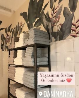 Tropikal Çiçekler Barış Çiçeği Duvar Kağıdı