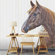 Brown Horse At Desen Duvar Kağıdı
