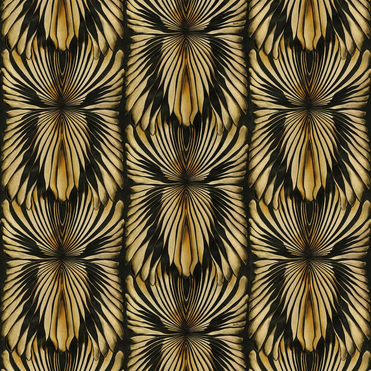 Roberto Cavalli 8 Nolu Koleksiyon Desenli Siyah Gold