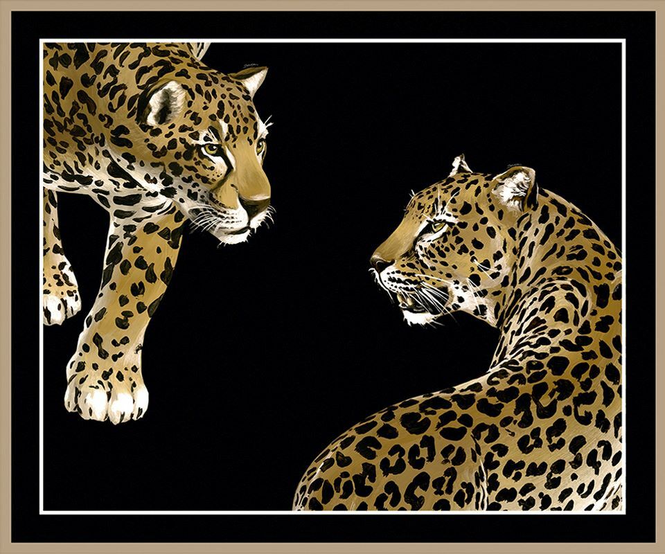 Dolce Gabbana Leoparlar Pano Koleksiyon Duvar Kağıdı