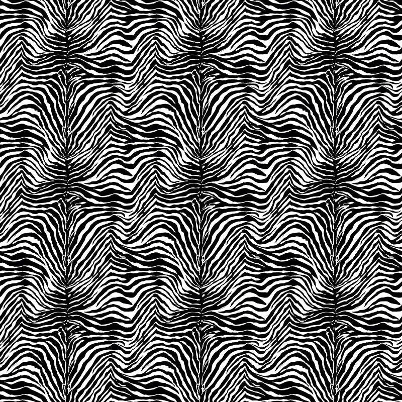 Dolce Gabbana Zebra Siyah Beyaz Duvar Kağıdı