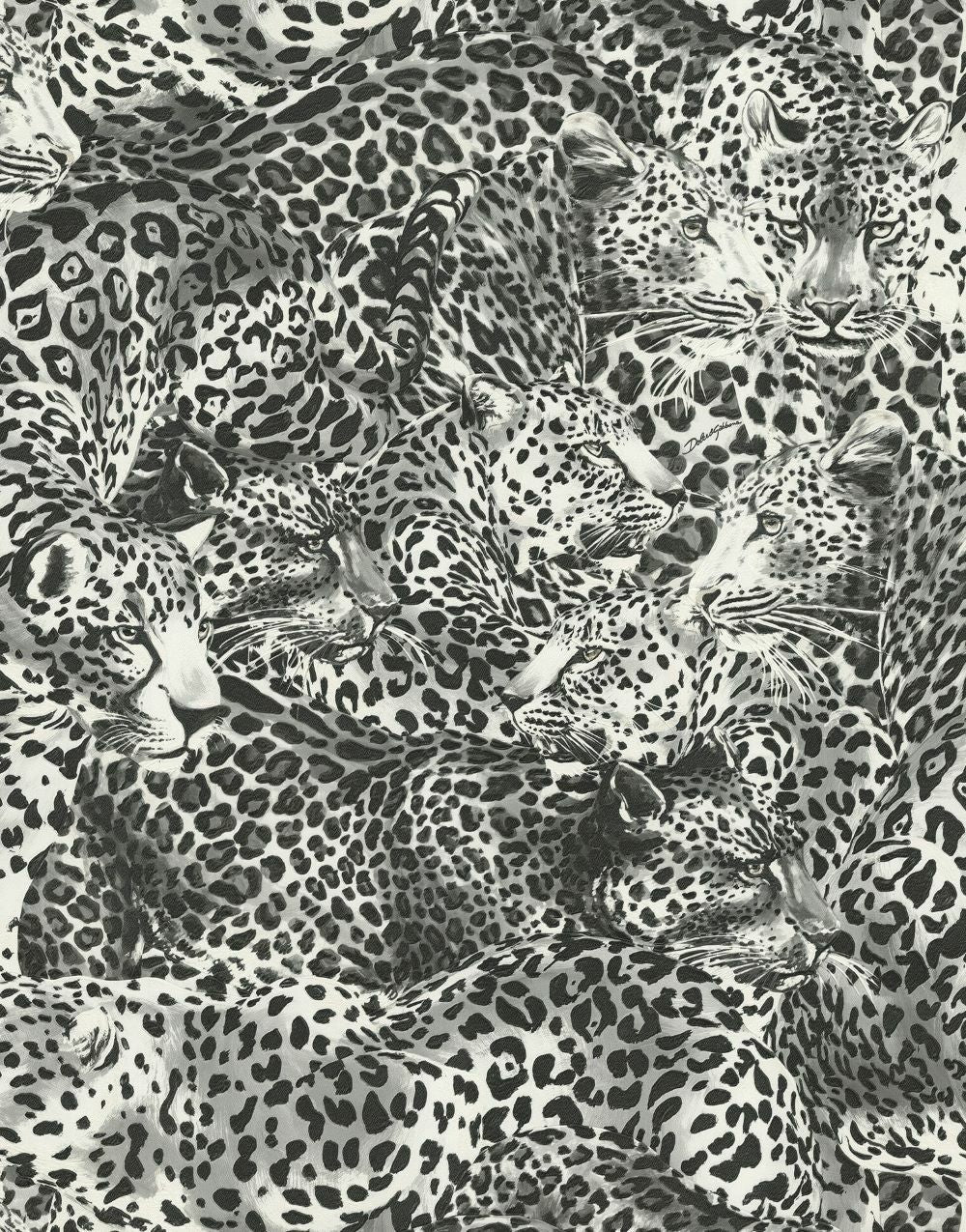 Dolce Gabbana Siyah Beyaz Leopar Desen Duvar Kağıdı