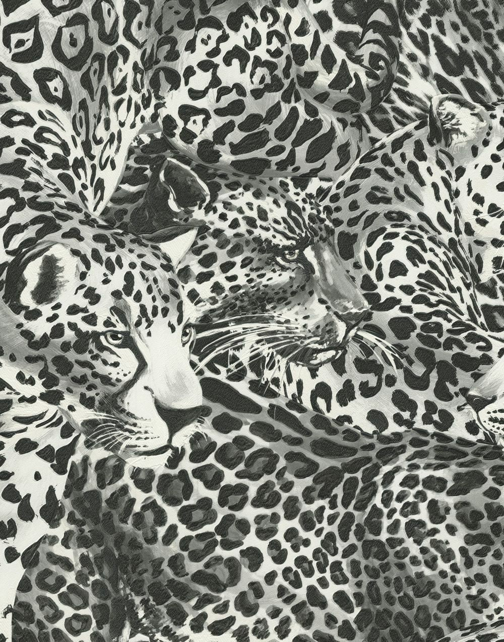 Dolce Gabbana Siyah Beyaz Leopar Desen Duvar Kağıdı