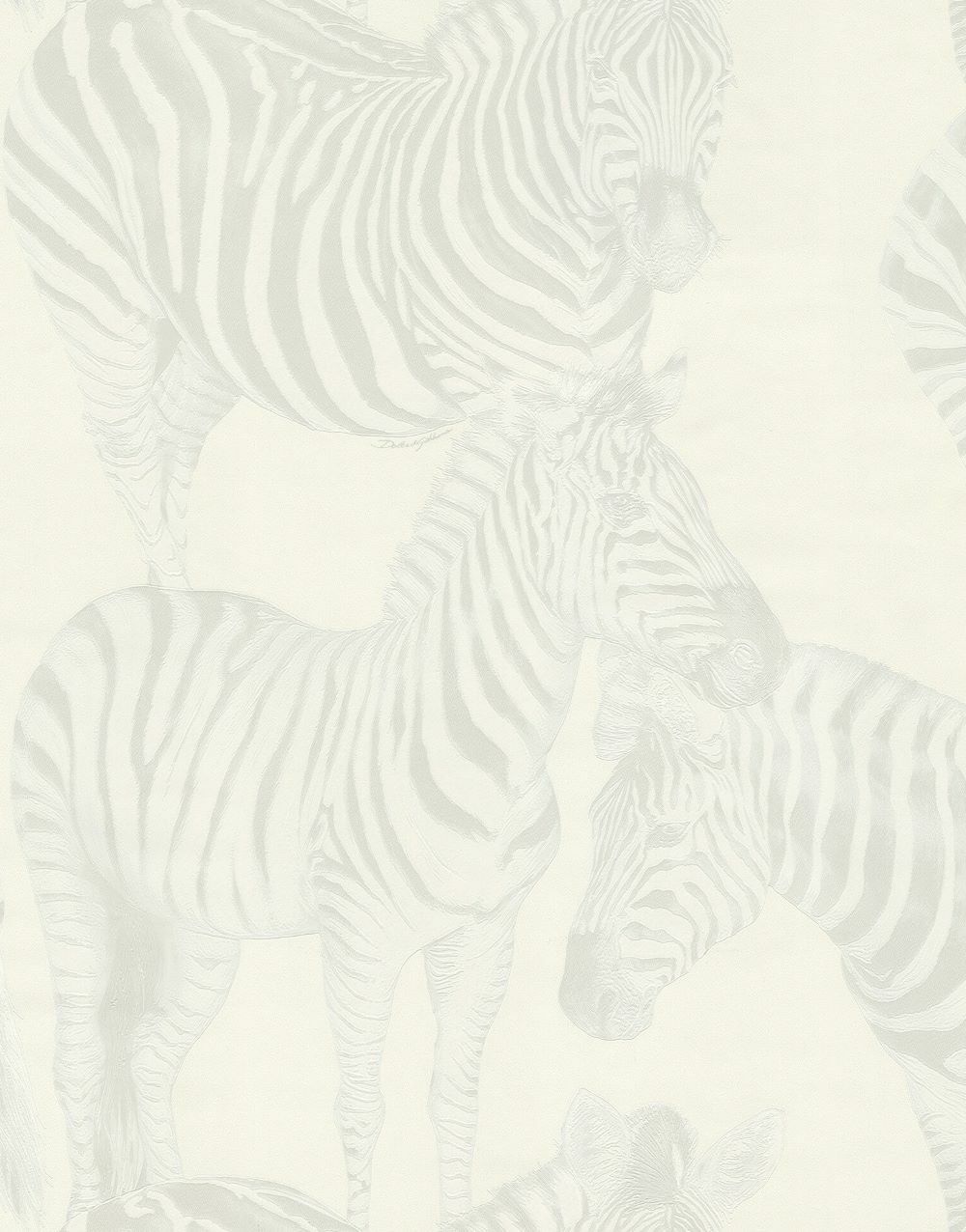 Dolce Gabbana Beyaz Zebra Koleksiyon Duvar Kağıdı