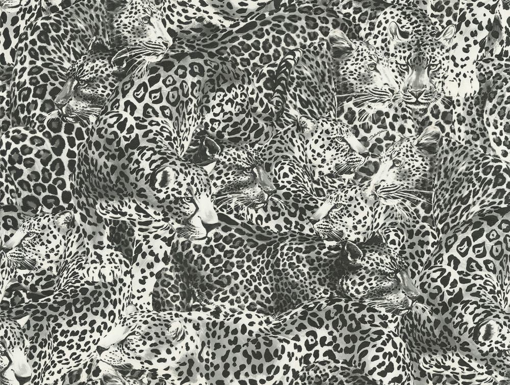 Dolce Gabbana Siyah Beyaz Leopar Desen Duvar Kağıdı