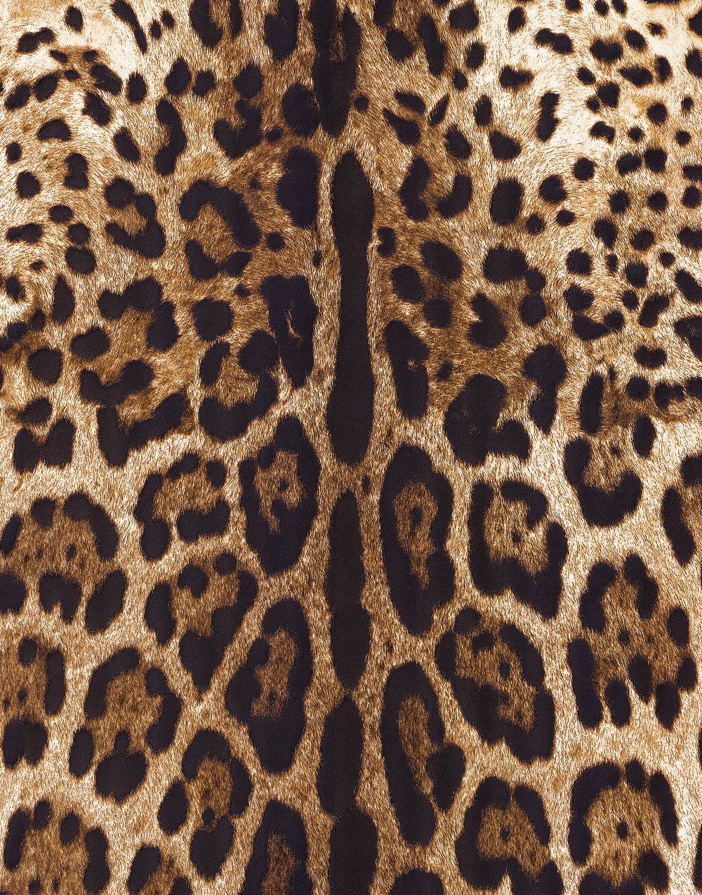 Dolce Gabbana Leopar Desen Duvar Kağıdı