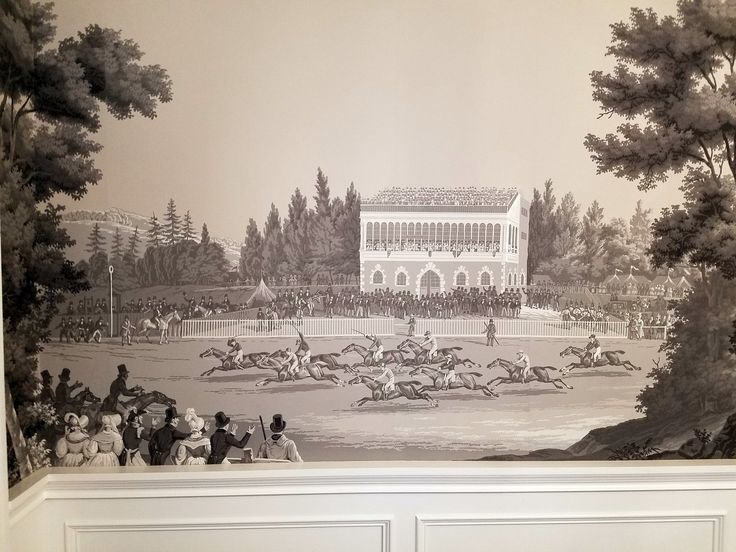 Uva Siyah Beyaz At Yarışı Duvar Kağıdı