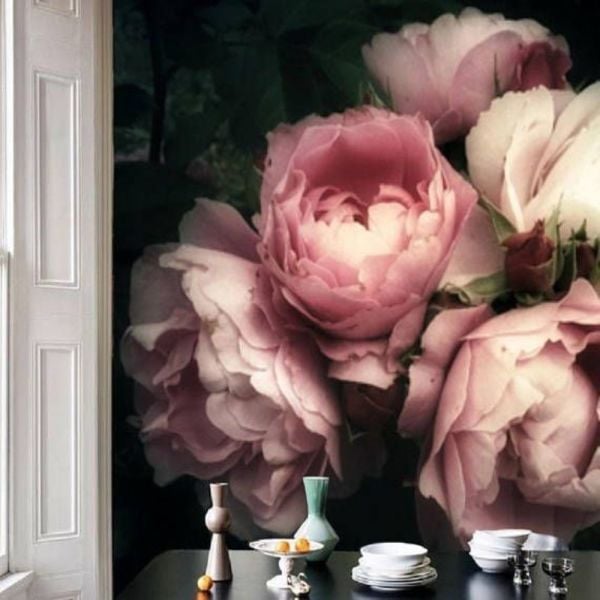 Siyah Arka Plan Pembe Soft Güller Duvar Kağıdı