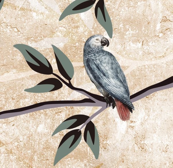 Ağaç Dalında Gri Papağan Duvar Kağıdı