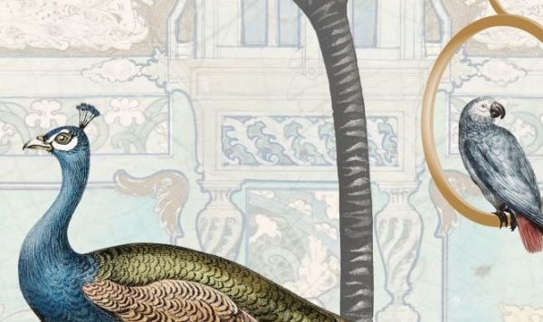 Ağaç Dalında Gri Papağan Duvar Kağıdı