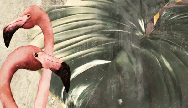 Renkli Yapraklar Önünde Flamingolar Duvar Kağıdı