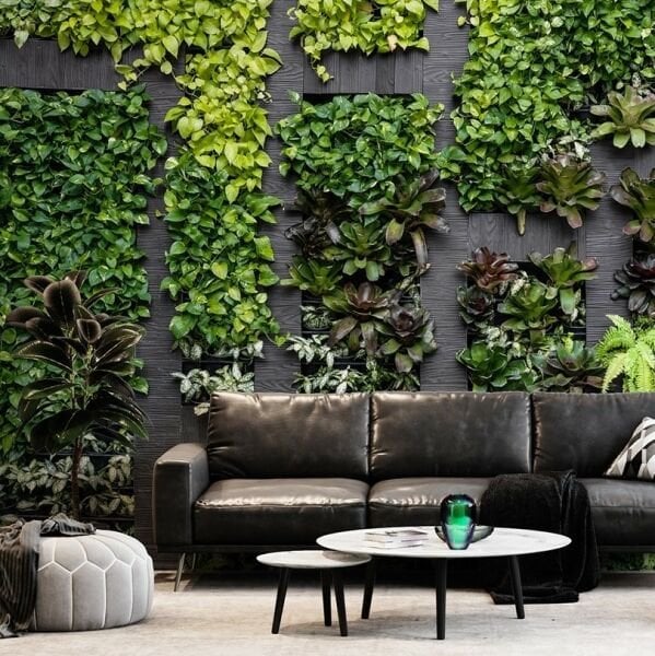 Duvar Tropik Bitki Dekor Duvar Kağıdı