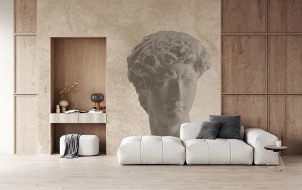 David Büst Desen Tasarım Duvar Kağıdı