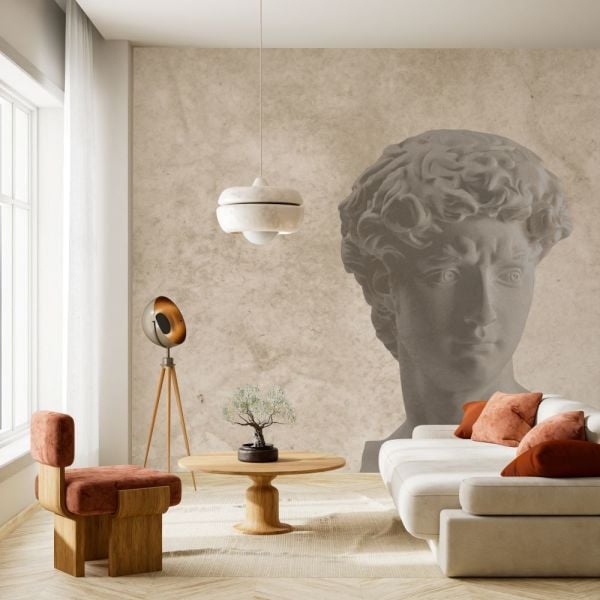 David Büst Desen Tasarım Duvar Kağıdı