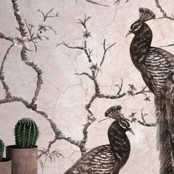 Sonbahar Ağaç Dalında Tavuskuşu Duvar Kağıdı