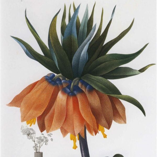 Yalın Yeşil ve Turuncu Geçişli Çiçek Duvar Kağıdı