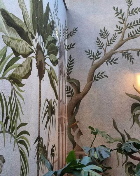 Tropik Orman Egzotik Hayvanlar Dış Mekan Duvar Kağıdı