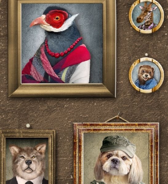 Kahverengi Zemin Çerçeveler İçinde Hayvan Portreleri Duvar Kağıdı