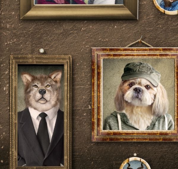 Kahverengi Zemin Çerçeveler İçinde Hayvan Portreleri Duvar Kağıdı