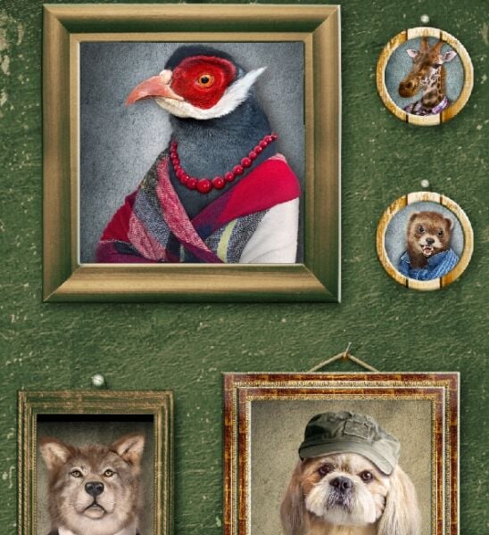 Yeşil Zemin Çerçeveler İçinde Hayvan Portreleri Duvar Kağıdı