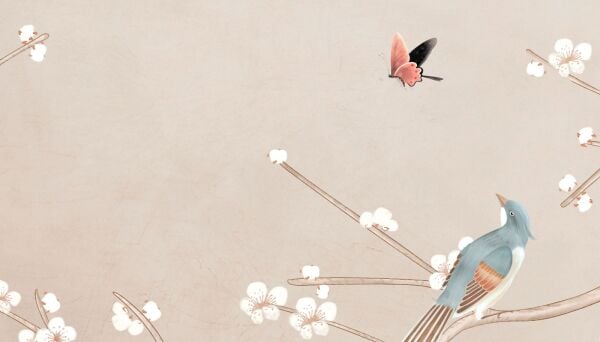 Beyaz Çiçekli Kiraz Ağacı Dalında Kuşlar Bülbüller Duvar Kağıdı