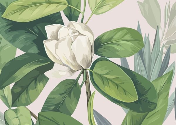 Pamuk Fidesi ve Yeşil Büyük Yapraklar Duvar Kağıdı