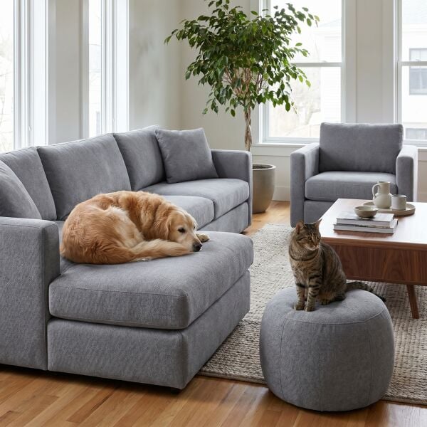 Noble Pati Dostu Kumaş Küllü Krem Bej