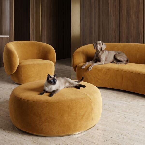 Noble Pati Dostu Kumaş Sarı