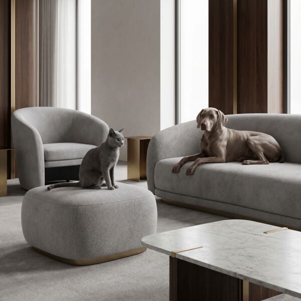 Azure Pati Dostu Kumaş Vizon Gri