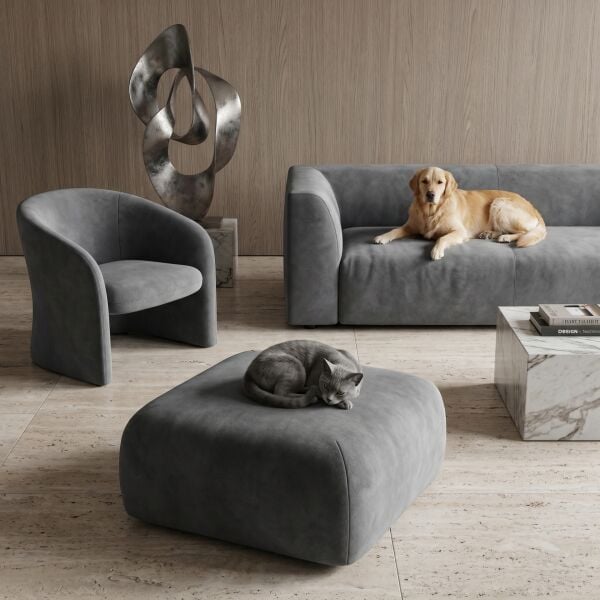 Azure Pati Dostu Kumaş Antrasit Gri